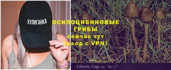 ALPHA-PVP Вяземский